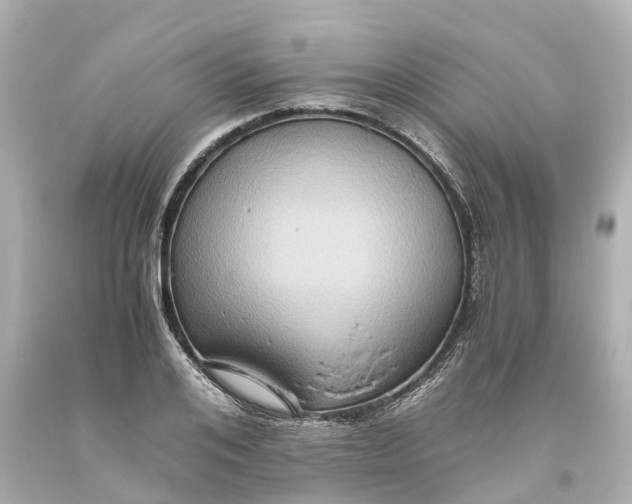 X0000093610984200710291201