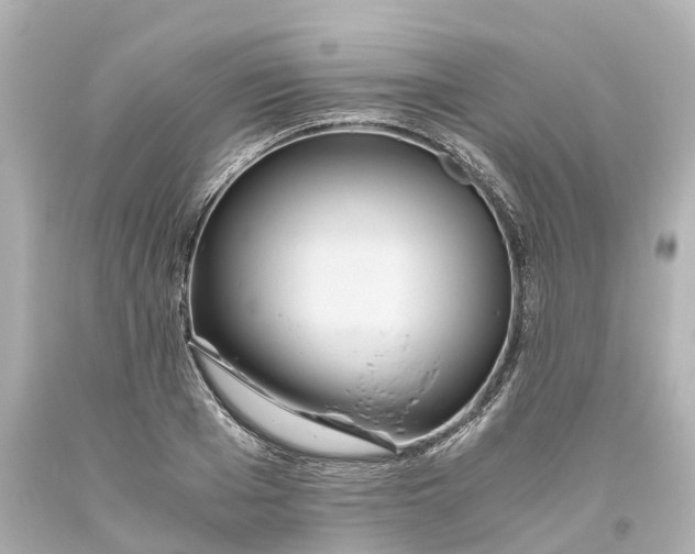 X0000093610985200710291201