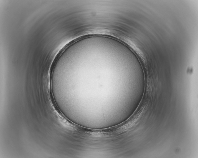 X0000093610988200710291201