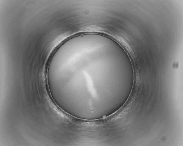 X0000093610990200710291201