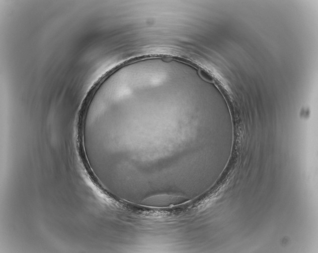 X0000093610991200710291201