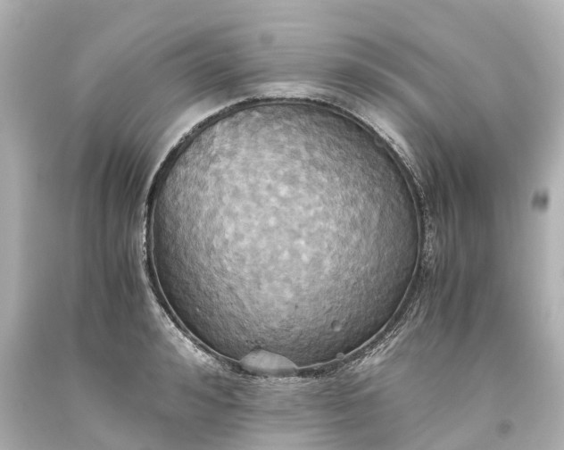 X0000093610992200710291201