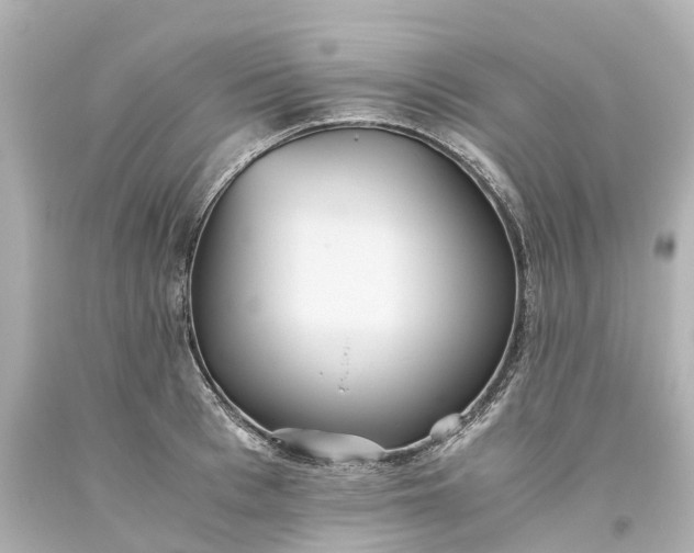 X0000093610993200710291201