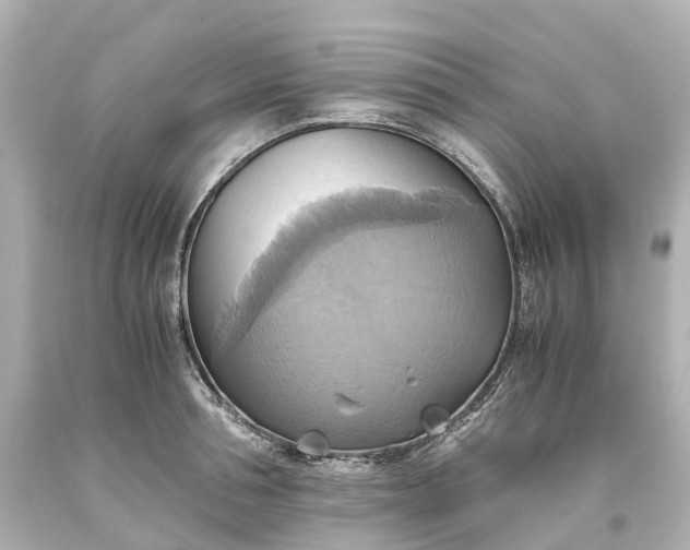 X0000093610994200710291201