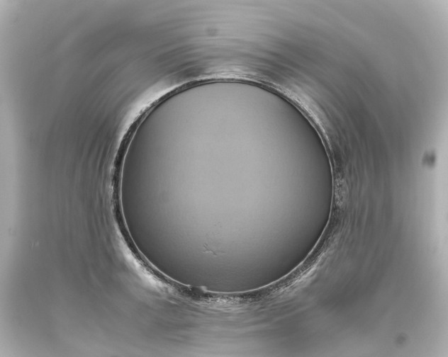 X0000093610995200710291201