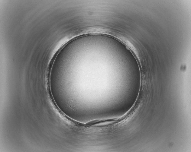 X0000093610997200710291201