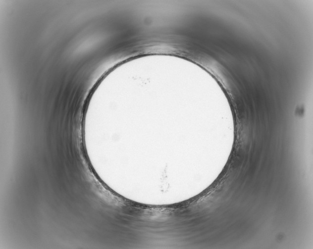 X0000093611000200710291201