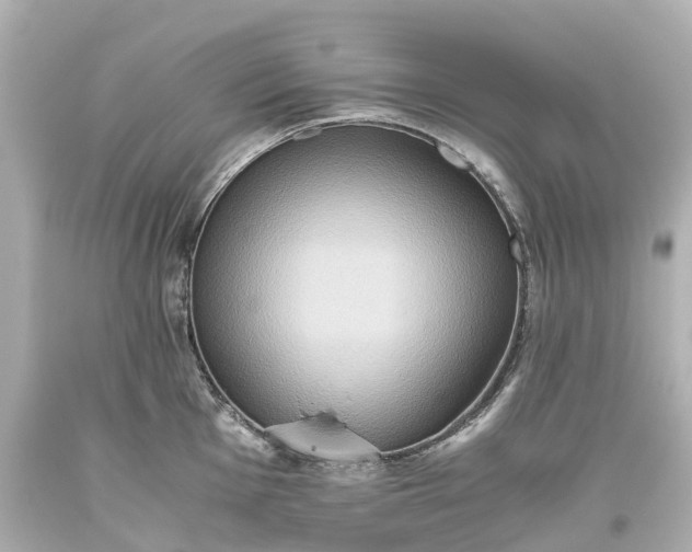 X0000093611001200710291201