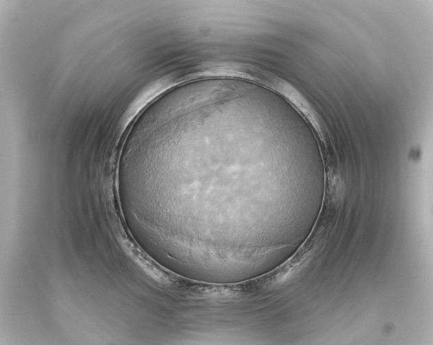 X0000093611002200710291201