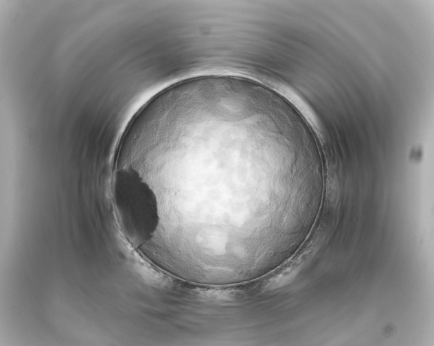 X0000093611004200710291201