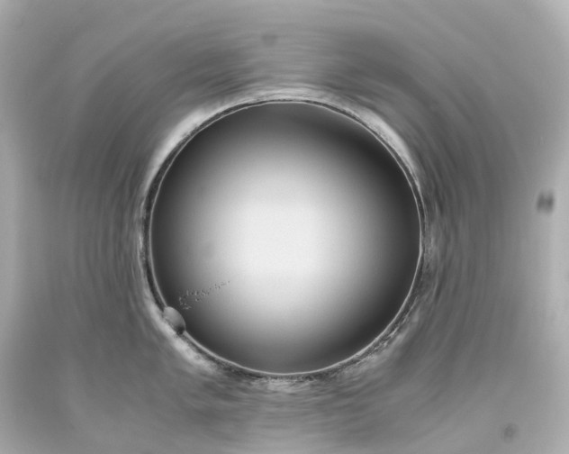 X0000093611005200710291201