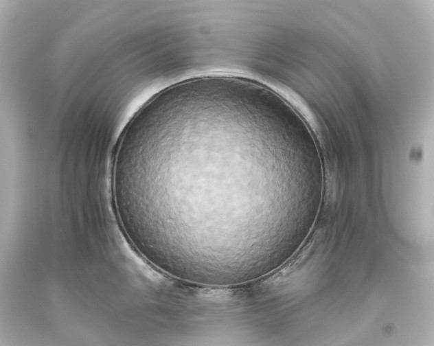X0000093611006200710291201