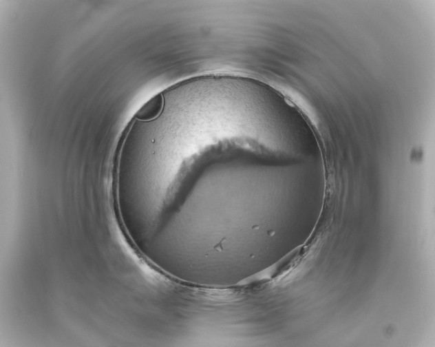 X0000093611007200710291201