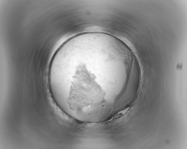 X0000093611008200710291201