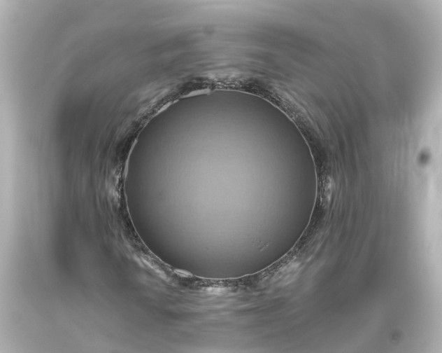 X0000093611010200710291200
