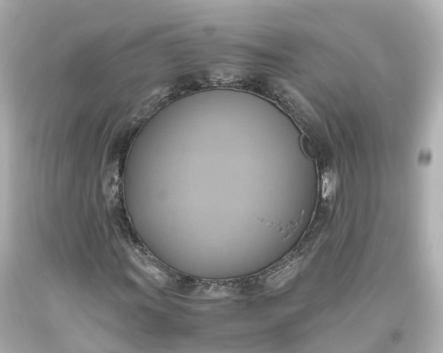 X0000093611011200710291200