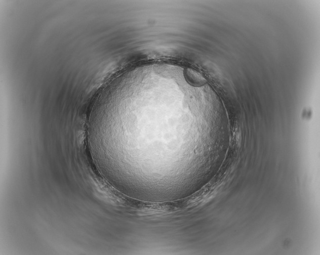 X0000093611012200710291200