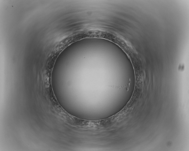 X0000093611013200710291201