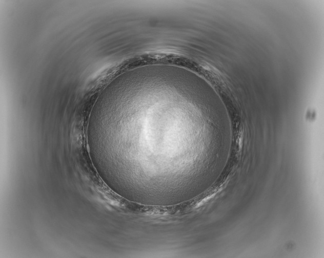 X0000093611014200710291201