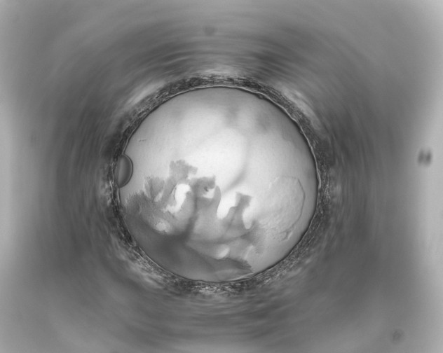 X0000093611015200710291201