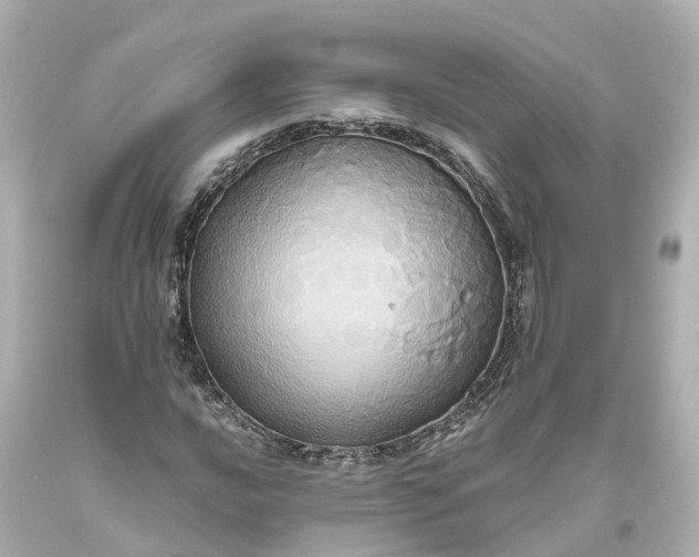 X0000093611016200710291201