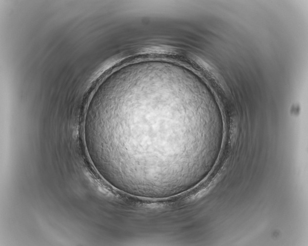 X0000093611017200710291201