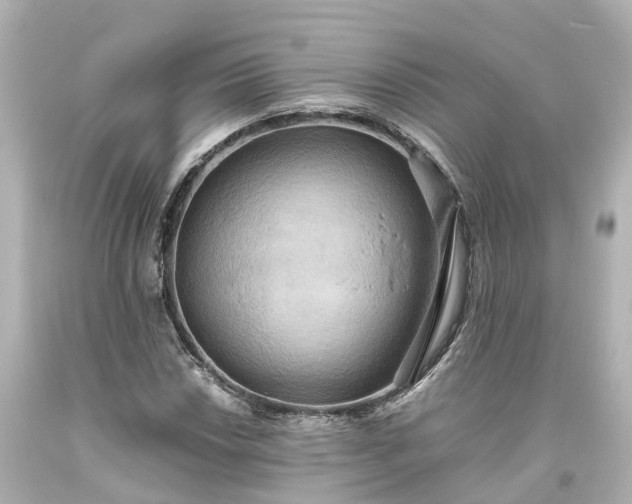 X0000093611018200710291201