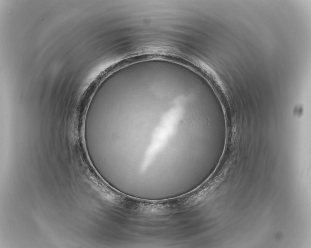 X0000093611019200710291201