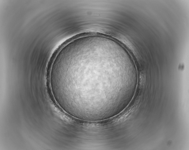 X0000093611020200710291201