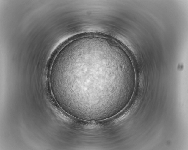 X0000093611021200710291201