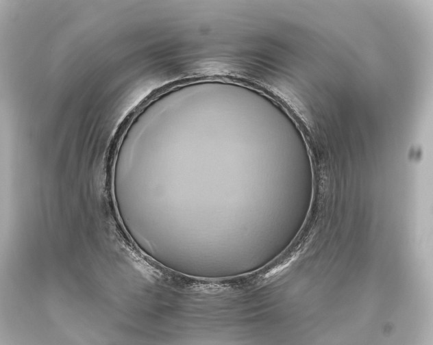 X0000093611023200710291201