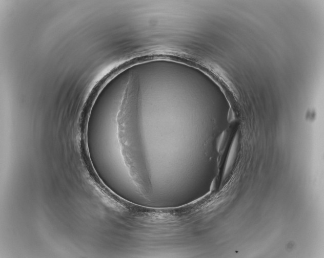 X0000093611024200710291201