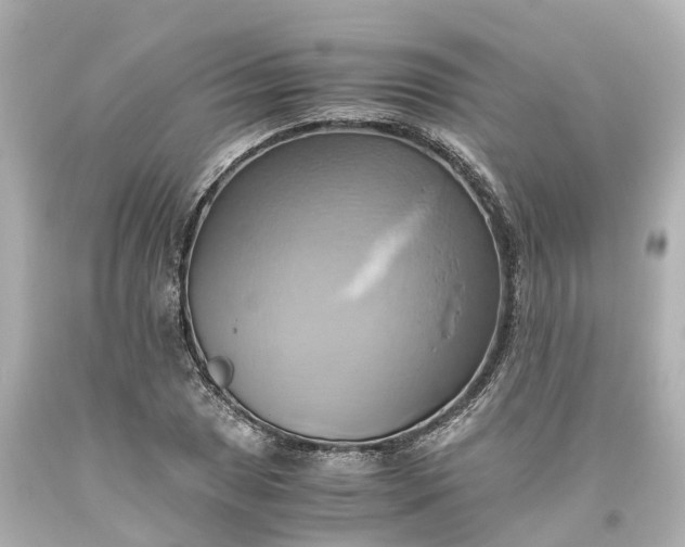 X0000093611025200710291201