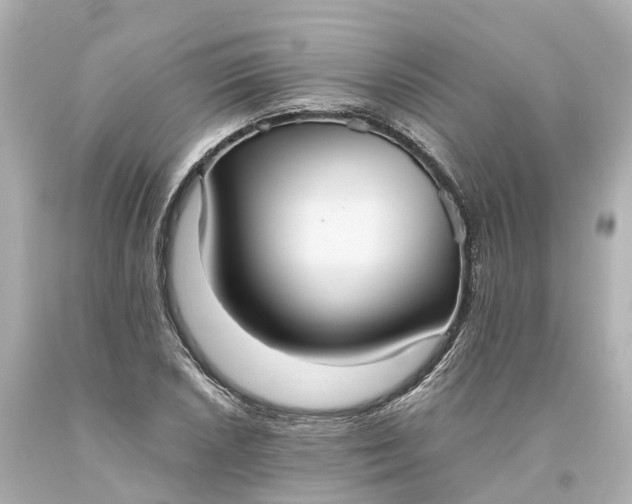 X0000093611026200710291201