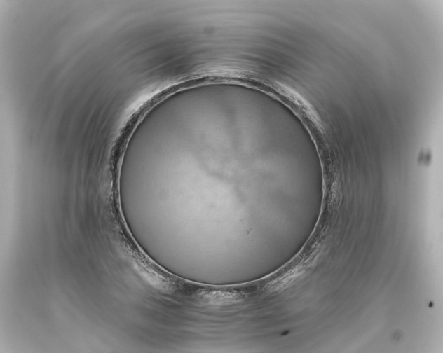 X0000093611027200710291201