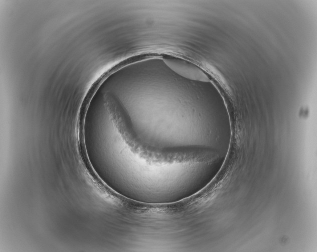 X0000093611028200710291201