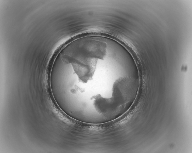 X0000093611029200710291201