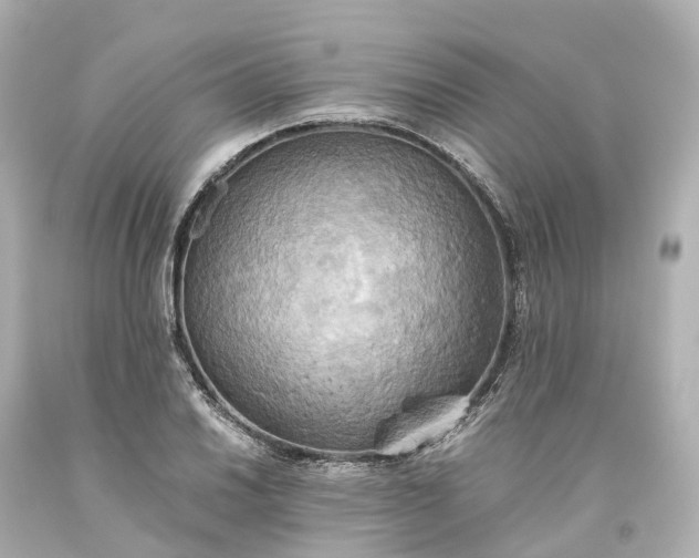 X0000093611030200710291201
