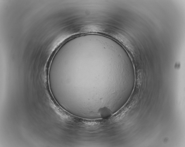 X0000093611031200710291201
