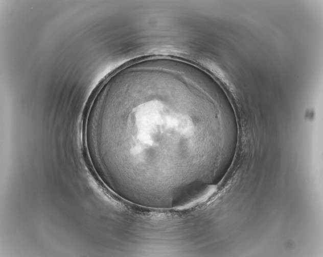 X0000093611032200710291201