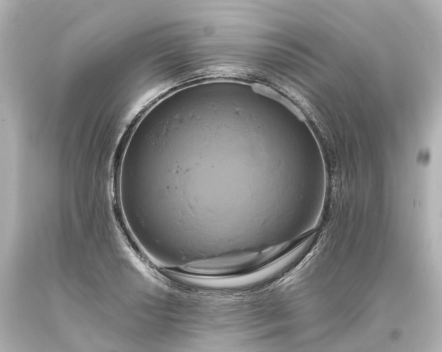 X0000093611034200710291201