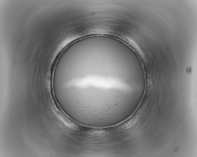 X0000093611035200710291201