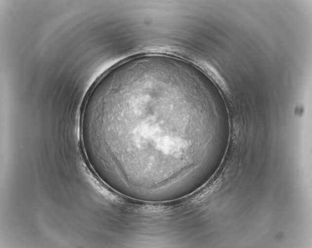 X0000093611036200710291201