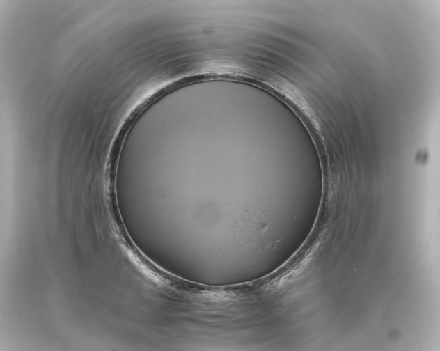 X0000093611037200710291201