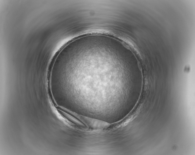 X0000093611038200710291201