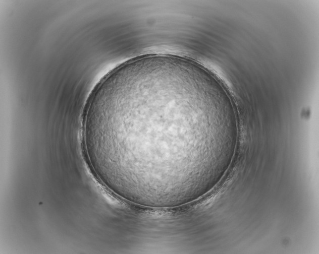 X0000093611040200710291201