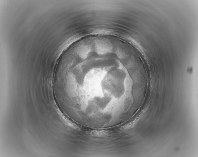 X0000093611041200710291201
