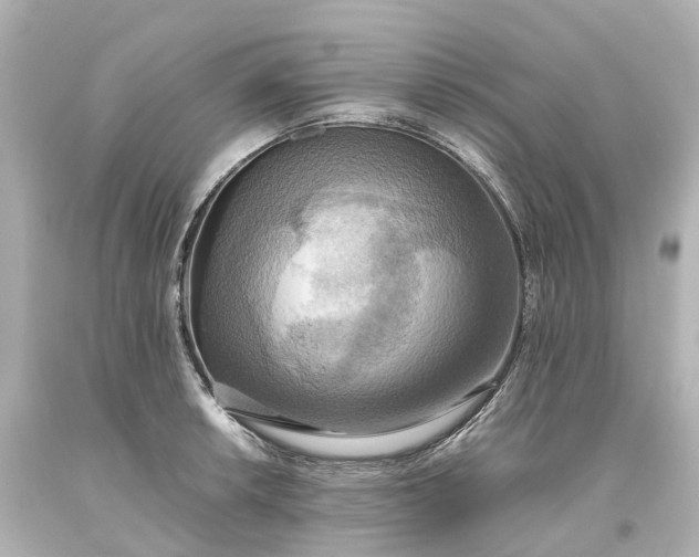 X0000093611042200710291201