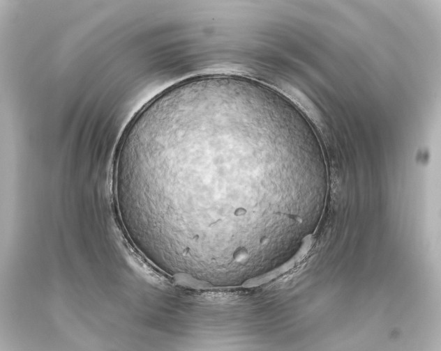 X0000093611044200710291201