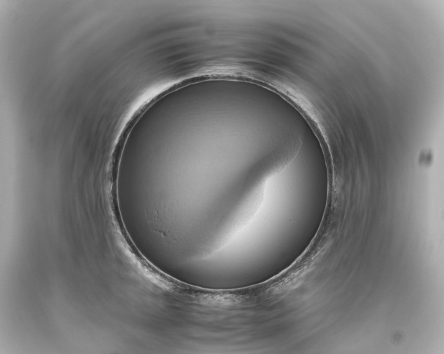 X0000093611045200710291201